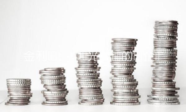 金利华电：中国光伏发电的领军企业