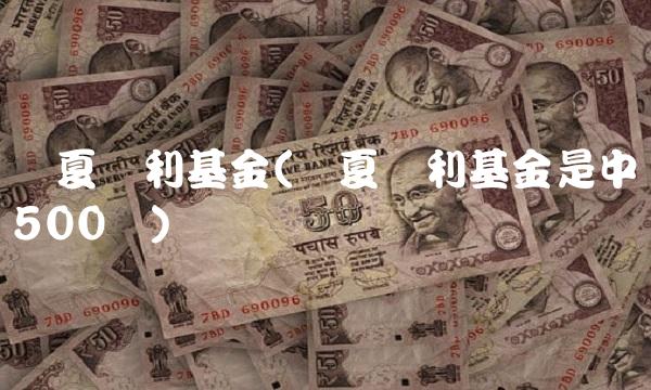 华夏红利基金(华夏红利基金是中证500吗)