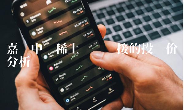 嘉实中证稀土产业联接的投资价值分析