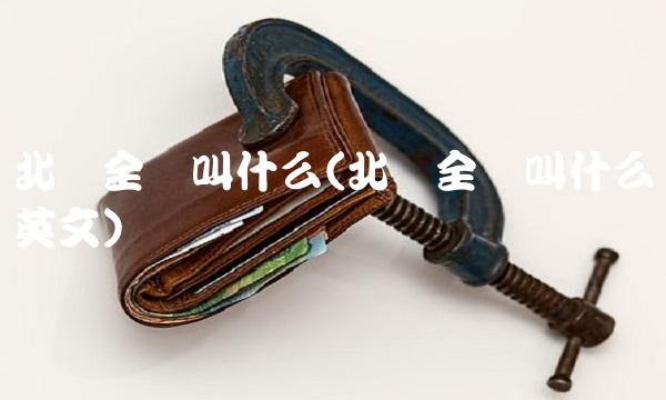 北约全称叫什么(北约全称叫什么英文)