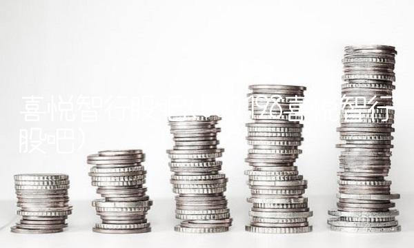 喜悦智行股吧(301198喜悦智行股吧)