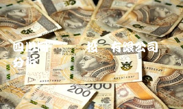 四川同圣产业投资有限公司专业分析