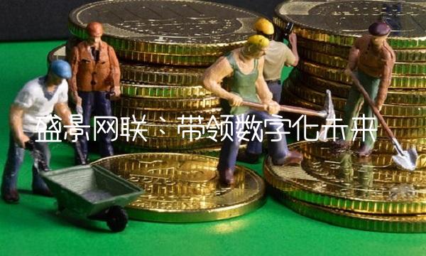 盛景网联：带领数字化未来