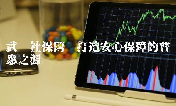 武汉社保网——打造安心保障的普惠之源