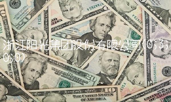 浙江阳光集团股份有限公司(0;3;0;0)