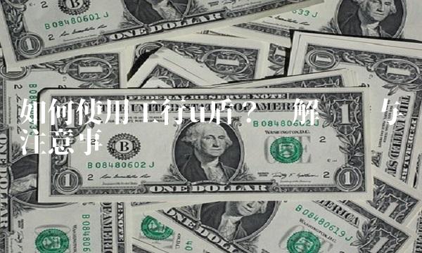 如何使用工行u盾？详解步骤与注意事项