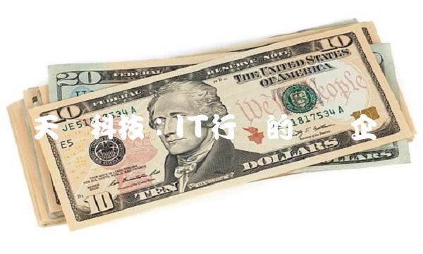 天颐科技：IT行业的领军企业