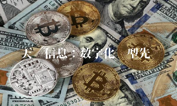 天泽信息：数字化转型先锋