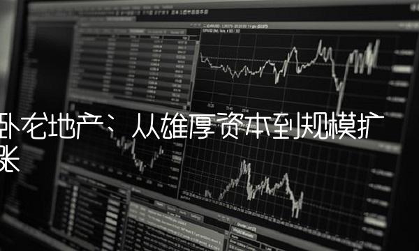 卧龙地产 从雄厚资本到规模扩张