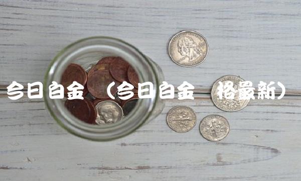 今日白金价(今日白金价格最新)