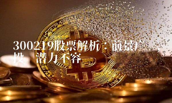 300219股票解析：前景广阔，投资潜力不容错过