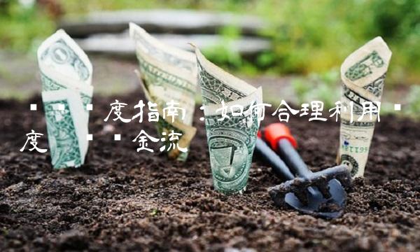 临时额度指南：如何合理利用额度增强资金流