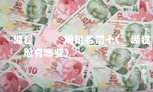 盐湖提锂龙头股排名前十(盐湖提锂龙头股有哪些)