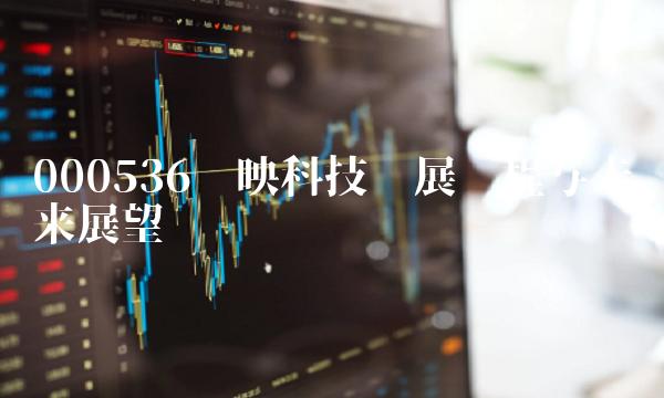 000536华映科技发展历程与未来展望