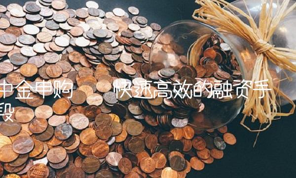 中金申购——快速高效的融资手段