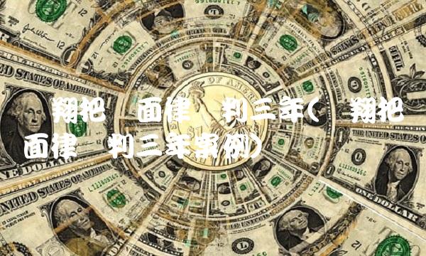 罗翔把对面律师判三年(罗翔把对面律师判三年案例)