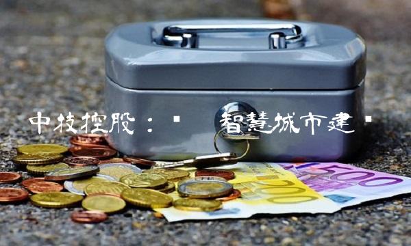 中技控股：领跑智慧城市建设