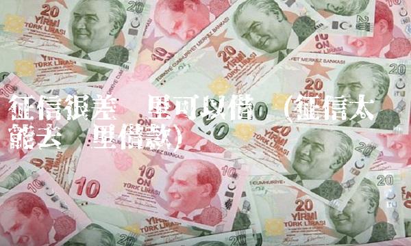 征信很差哪里可以借钱(征信太烂还能去哪里借款)