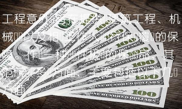 工程意外险旨在提供对建筑工程、机械设备以及相关工作人员进行保险覆盖的保障。作为一种专业性极强的保险产品，其范畴涵盖多个方面，主要包括以下几个方面。