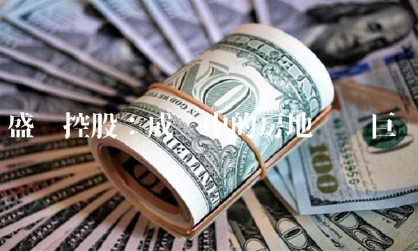 盛润控股：成长中的房地产业巨头