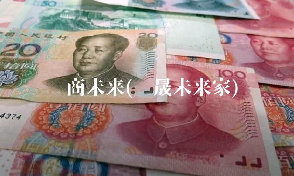 华商未来(华晟未来家)