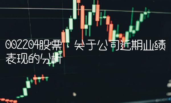 002204股票：关于公司近期业绩表现的分析