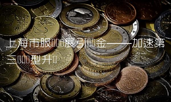 上海市服务业发展引导资金——加速第三产业转型升级