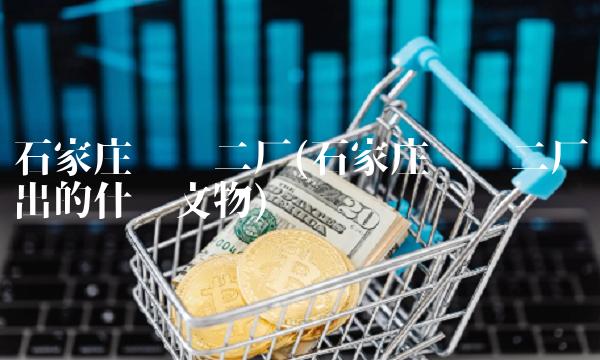 石家庄热电二厂(石家庄热电二厂出的什么文物)