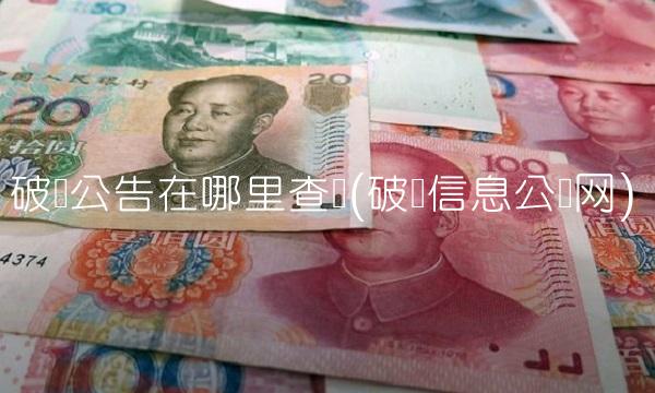 破产公告在哪里查询(破产信息公开网)