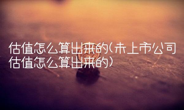 估值怎么算出来的(未上市公司估值怎么算出来的)