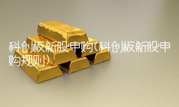 科创板新股申购(科创板新股申购规则)