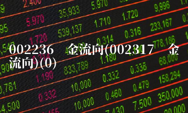 002236资金流向(002317资金流向)(0)