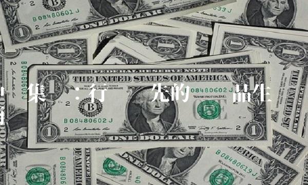 中达集团：行业领先的纺织品生产商