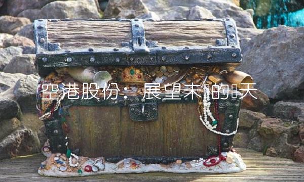 空港股份：展望未来的蓝天