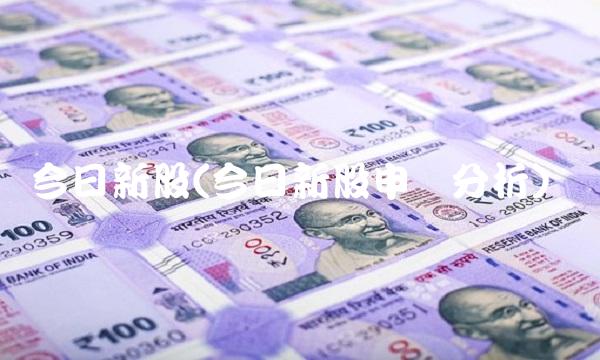 今日新股(今日新股申购分析)