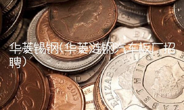 华菱锡钢(华菱涟钢汽车板厂招聘)