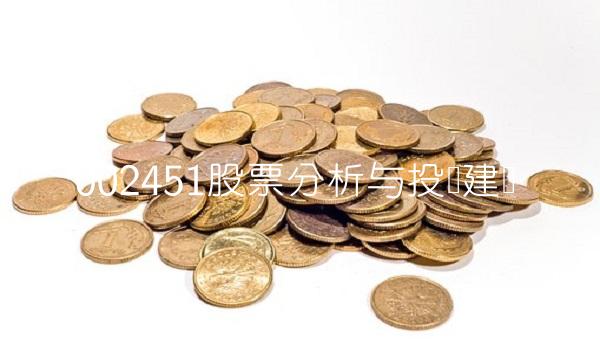 002451股票分析与投资建议