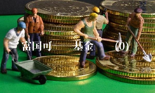 富国可转债基金净值(0)