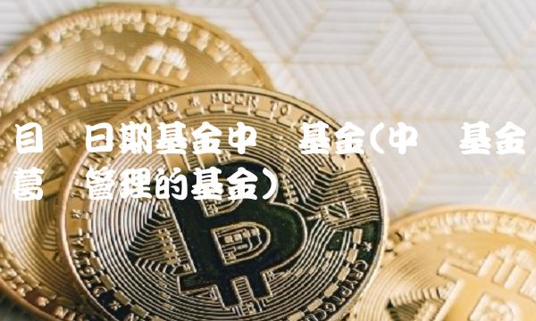 目标日期基金中欧基金(中欧基金葛兰管理的基金)