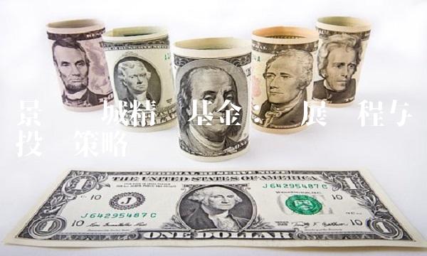 景顺长城精选基金：发展历程与投资策略