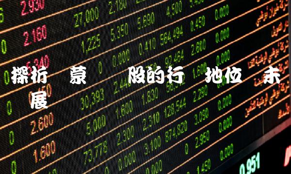 探析内蒙华电股的行业地位与未来发展趋势