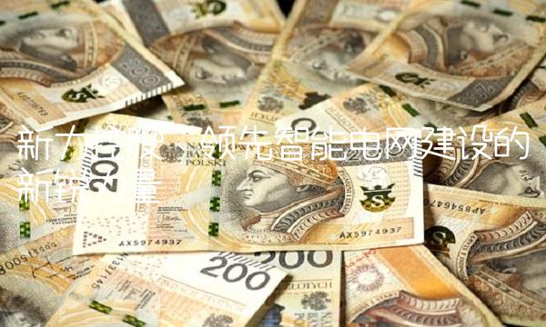新力控股：领先智能电网建设的新锐力量