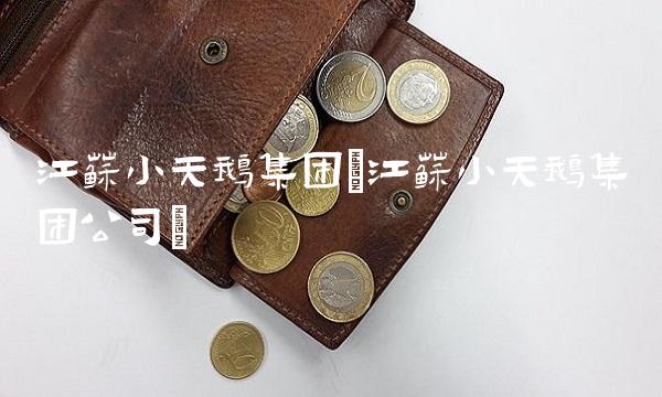 江苏小天鹅集团(江苏小天鹅集团公司)