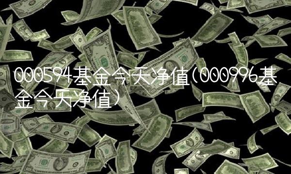 000594基金今天净值(000996基金今天净值)