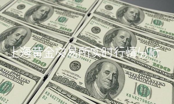 上海黄金交易所实时行情分析