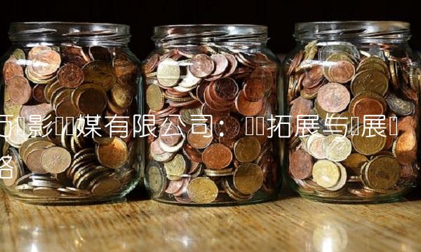 万达影视传媒有限公司：业务拓展与发展战略