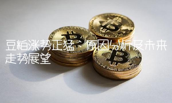 豆粕涨势正猛：原因分析及未来走势展望