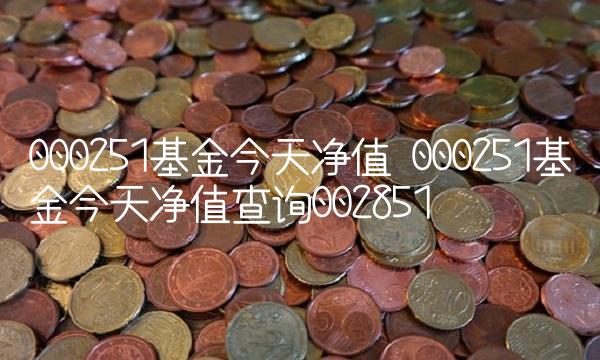 000251基金今天净值 000251基金今天净值查询002851