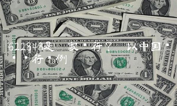 622848是哪家银行？——以中国农业银行为例