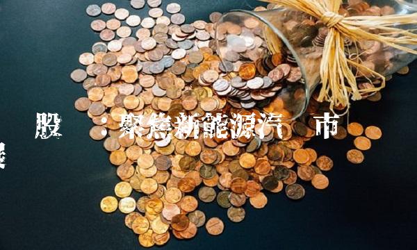 纳尔股份：聚焦新能源汽车市场发展